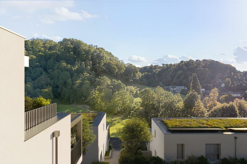 NEUBAU: 6 Einfamilienhäuser mit diversen Annehmlichkeiten (4)