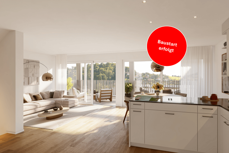 NEUVE CONSTRUCTION : 6 maisons unifamiliales avec diverses commodités (1)
