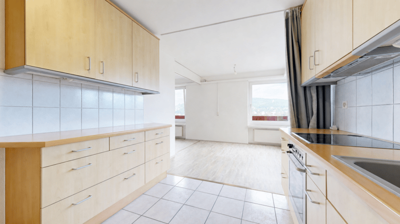 Affordable owner-occupied apartment with a great view (3)