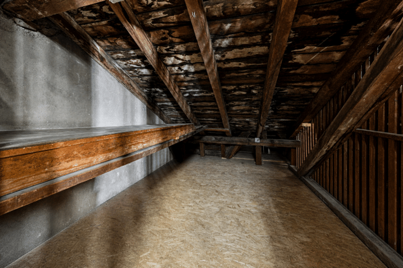 charmante Stadtwohnung im Gundeli (16)