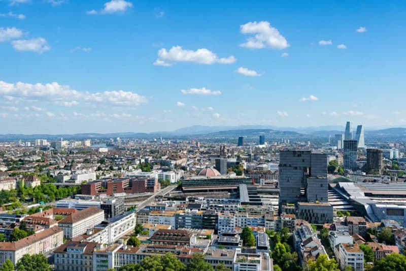 charmante Stadtwohnung im Gundeli (18)