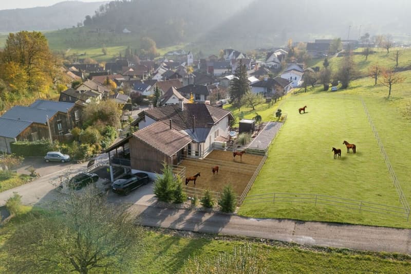 ein echter Wohntraum - luxuriöses Einfamilienhaus mit unzähligen Benefits (17)