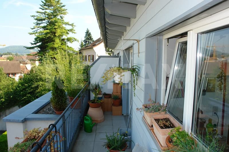 In the heart of Möhlin (7)