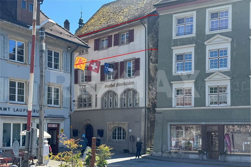 First-time rental! Charming 3-room apartment with direct Rhine view (8)