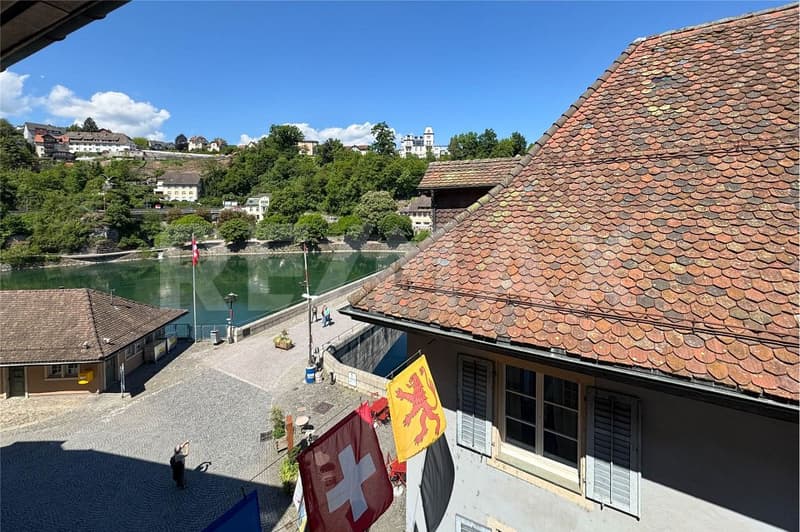 First-time rental! Charming 3-room apartment with direct Rhine view (3)