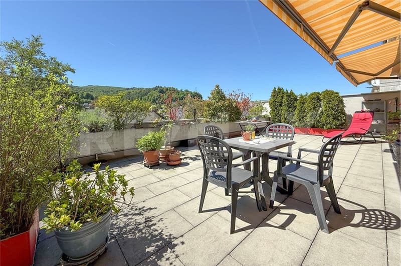 Apartment with terrace and additional garden in Zeiningen for sale (1)