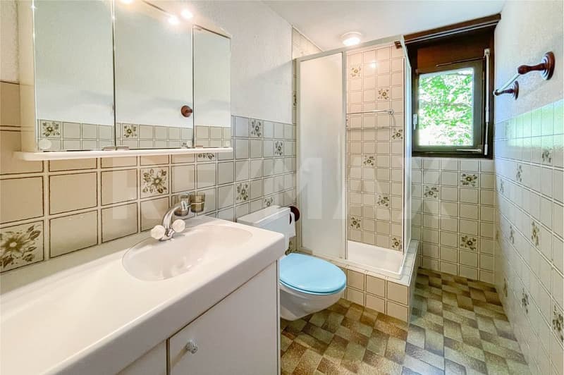 Exclusive hillside location with stunning views, family house for sale in Zeiningen (9)