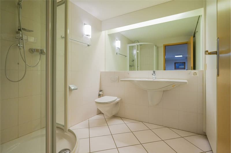 Spacious living on over 260 m² (10)