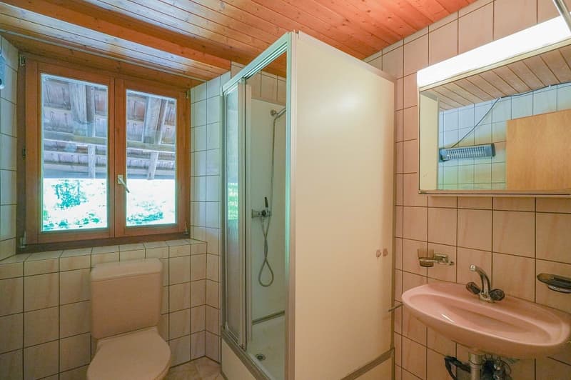 Per creatori e individualisti: oggetto di ristrutturazione con circa 1900 m² di terreno (9)
