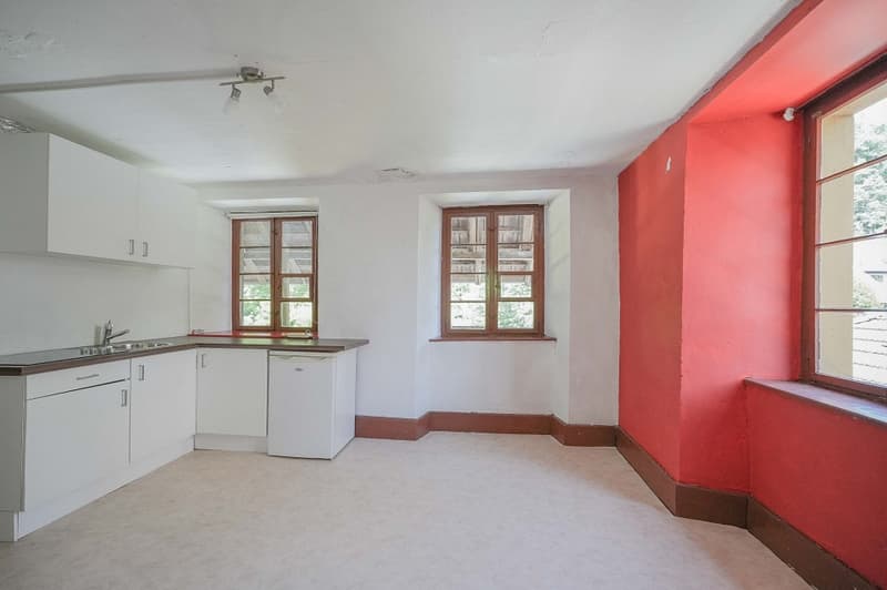 Per creatori e individualisti: oggetto di ristrutturazione con circa 1900 m² di terreno (8)