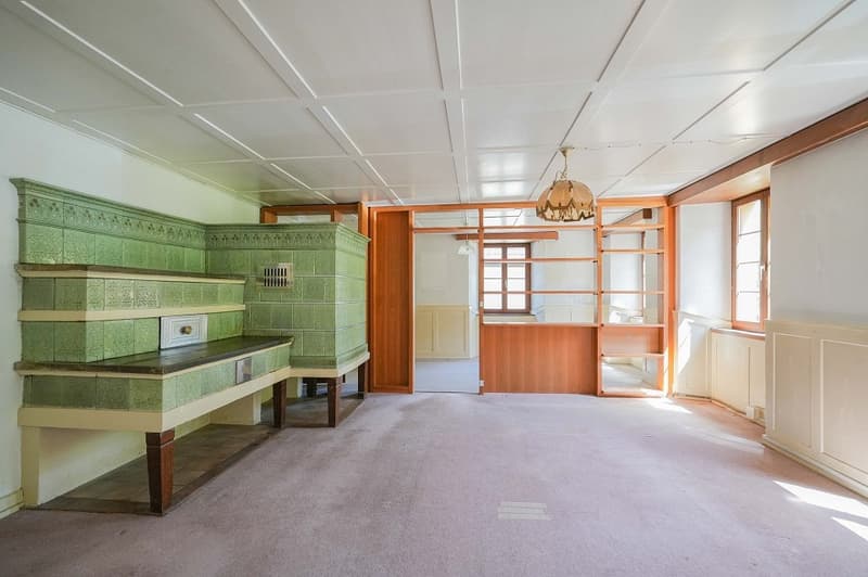 Für Macher und Individualisten:  Umbauobjekt mit ca. 1900 m² Land (3)