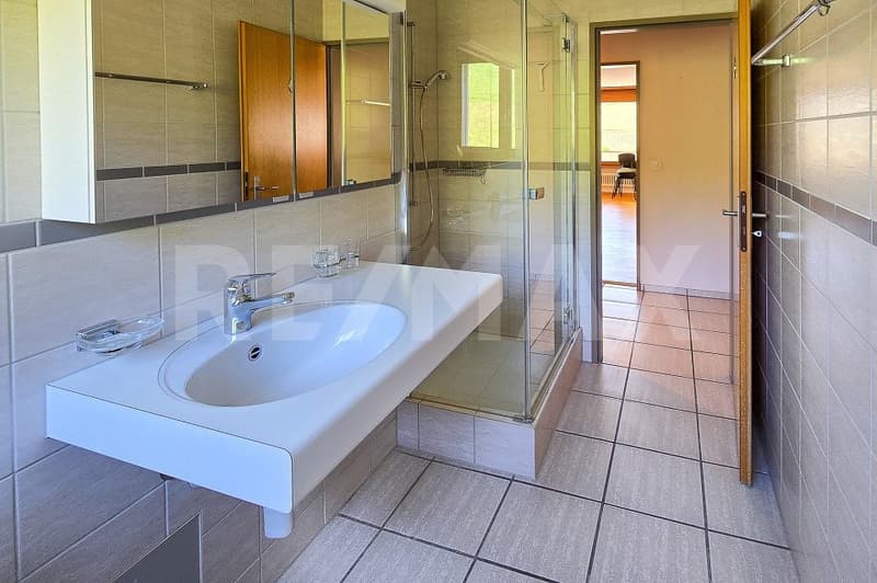 Your new home, renovated, sunny, and ready to move in (5)