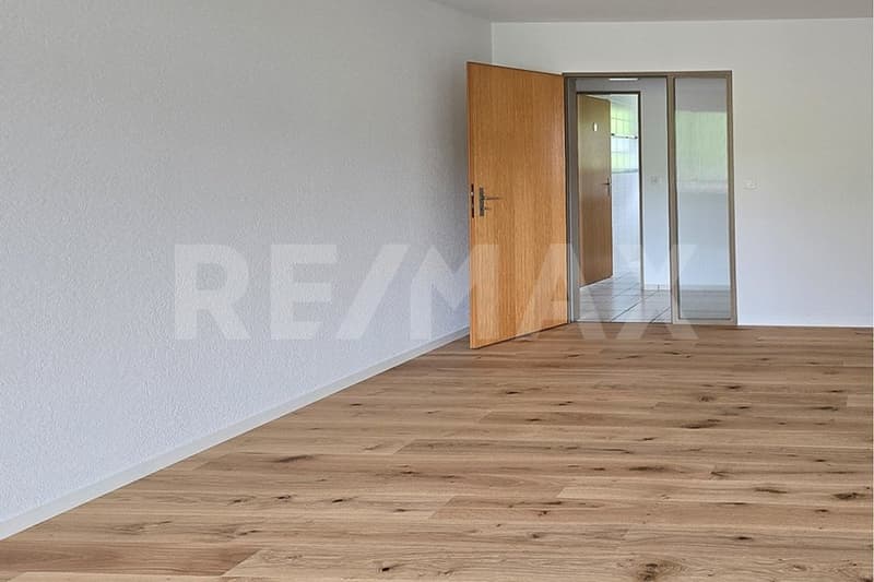 Your new home, renovated, sunny, and ready to move in (6)