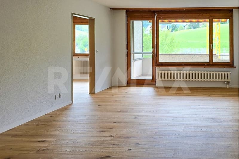 Your new home, renovated, sunny, and ready to move in (2)