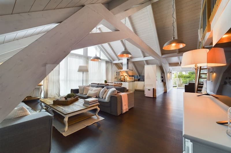 Rarität - Traumwohnung mit grosser Dachterrasse (3)