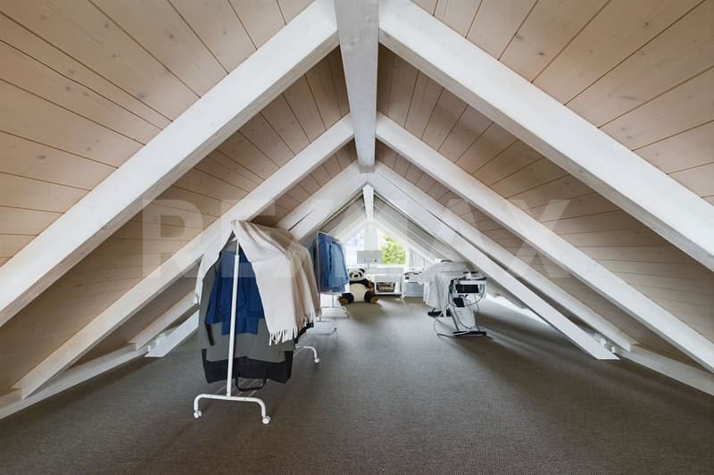Rarität - Traumwohnung mit grosser Dachterrasse (9)