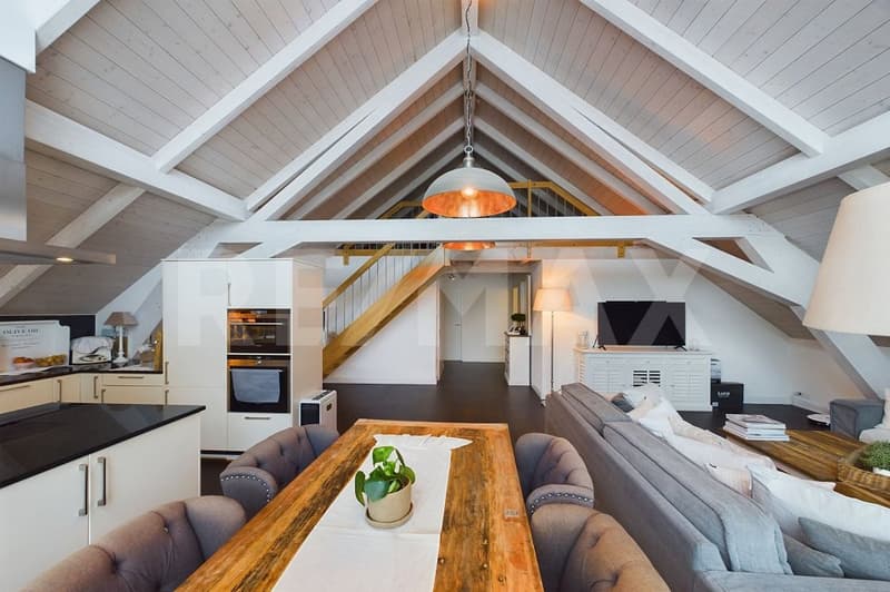 Rarität - Traumwohnung mit grosser Dachterrasse (5)