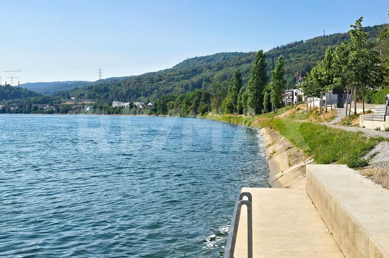 Wohnen am Rhein (1)