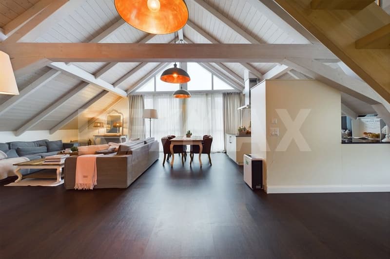 Exklusive Traumwohnung mit grosser Dachterrasse (2)