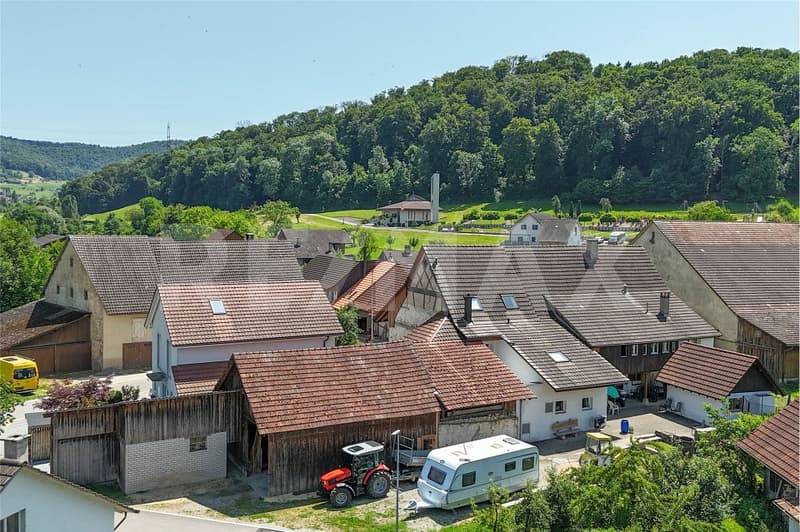 Liebhaberobjekt mit Scheune, Nebenräumen und vielseitigem Potenzial in Hellikon zu verkaufen (13)