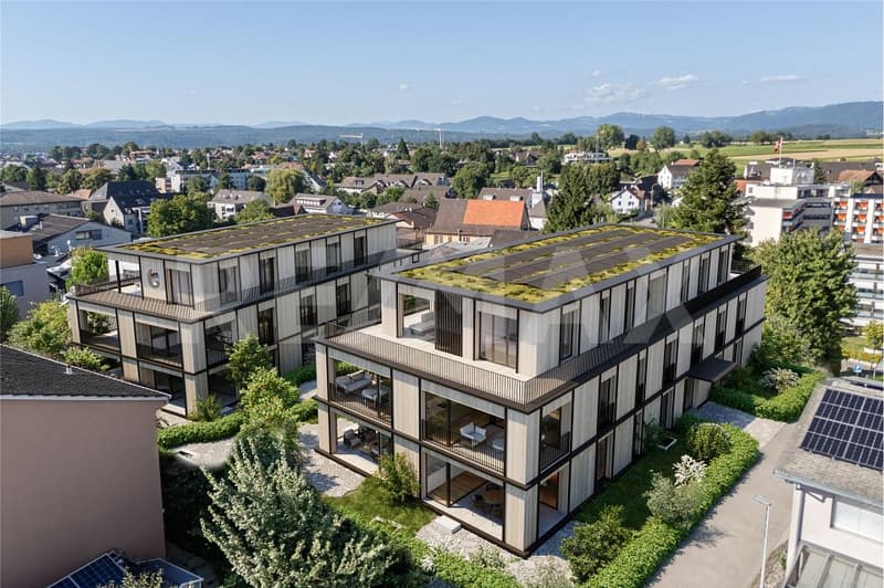 Exklusive 4.5 Zimmer-Attikawohnung mit Weitblick in Möhlin zu verkaufen (1)