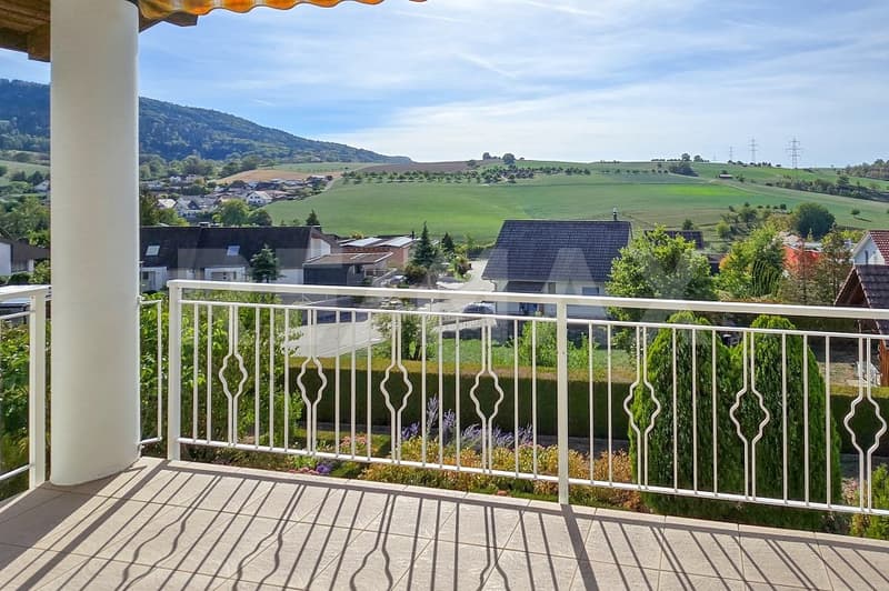 schöner Ausblick - geräumige Wohnung - ruhige Mieter (1)