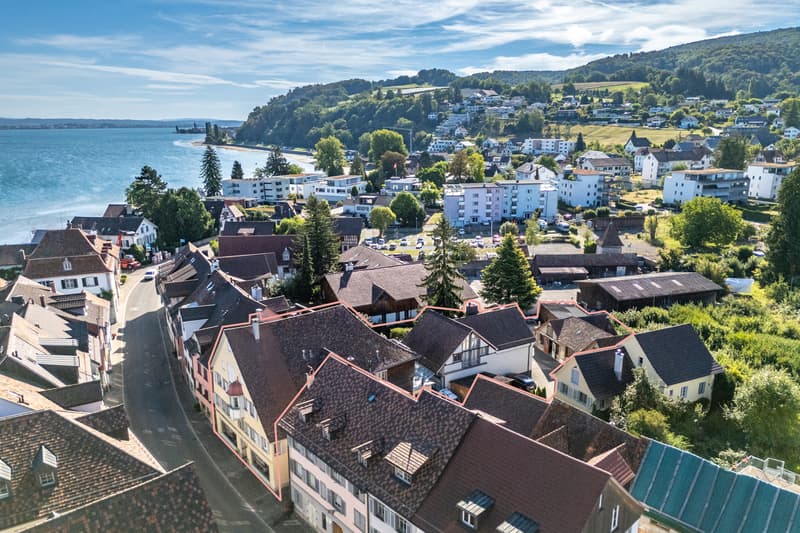 Ansicht von Nordwesten über das grossflächige Ensemble
