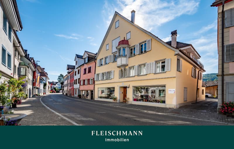 Vielseitiges Ensemble Altstadtflair am Untersee