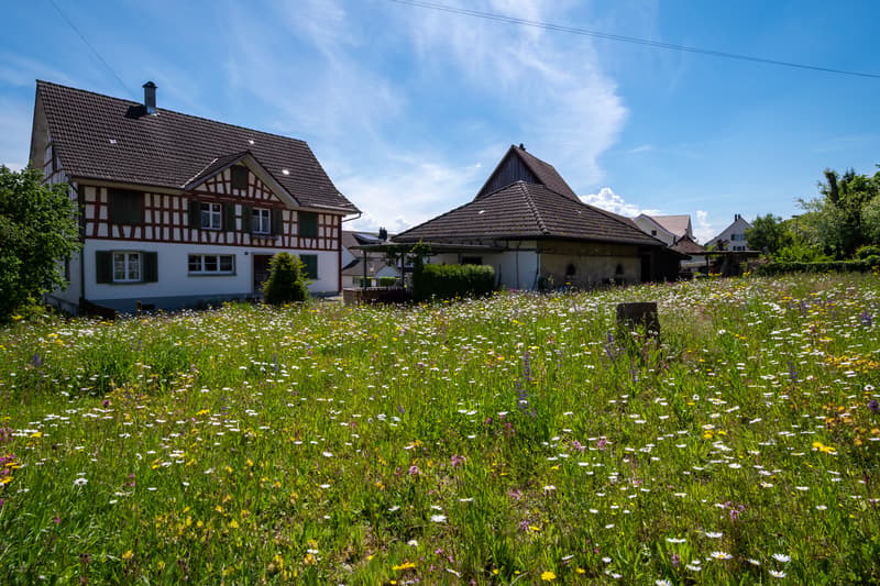 der nordseitige Garten bietet viel Potenzial
