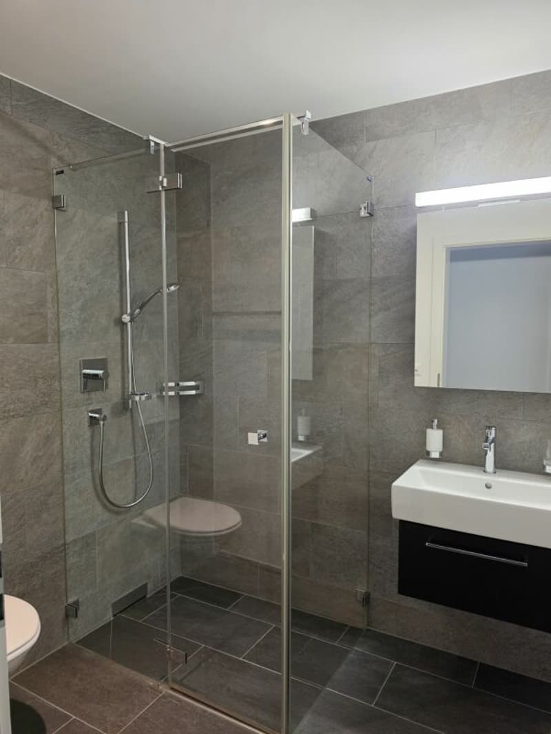 Exclusive 4.5-room apartment in a quiet location in Männedorf (9)