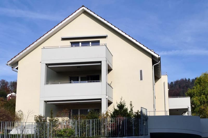 moderne 3.5-Zimmerwohnung in oberster Etage (1)