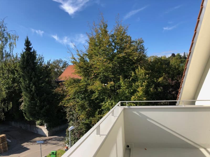 moderne 3.5-Zimmerwohnung in oberster Etage (12)