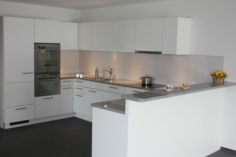 Spacious and modern 5 ½-room apartment for rent (3)