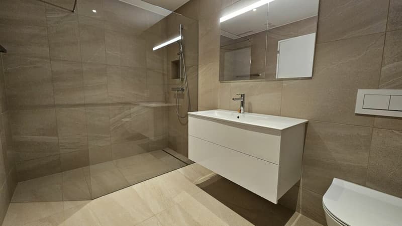 Ensuite-Badezimmer mit Dusche