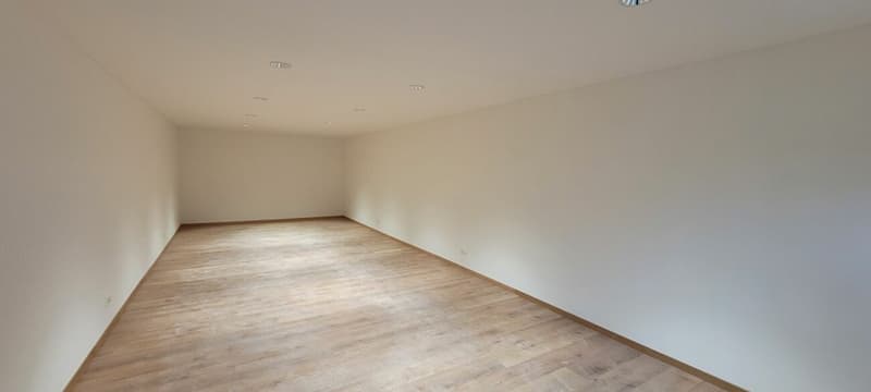 Atelier/Büro im Zentrum von Stäfa zu vermieten (2)