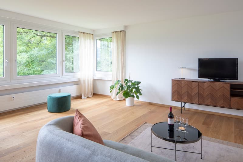 4.5 Zimmerwohnung mit einzigartiger Seesicht (3)