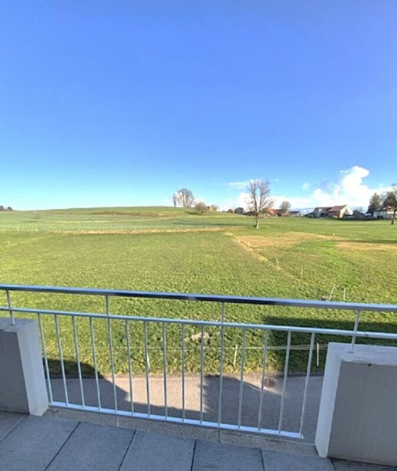 Magnifico 4.5 locali moderno di 104 m2, con balcone (3)