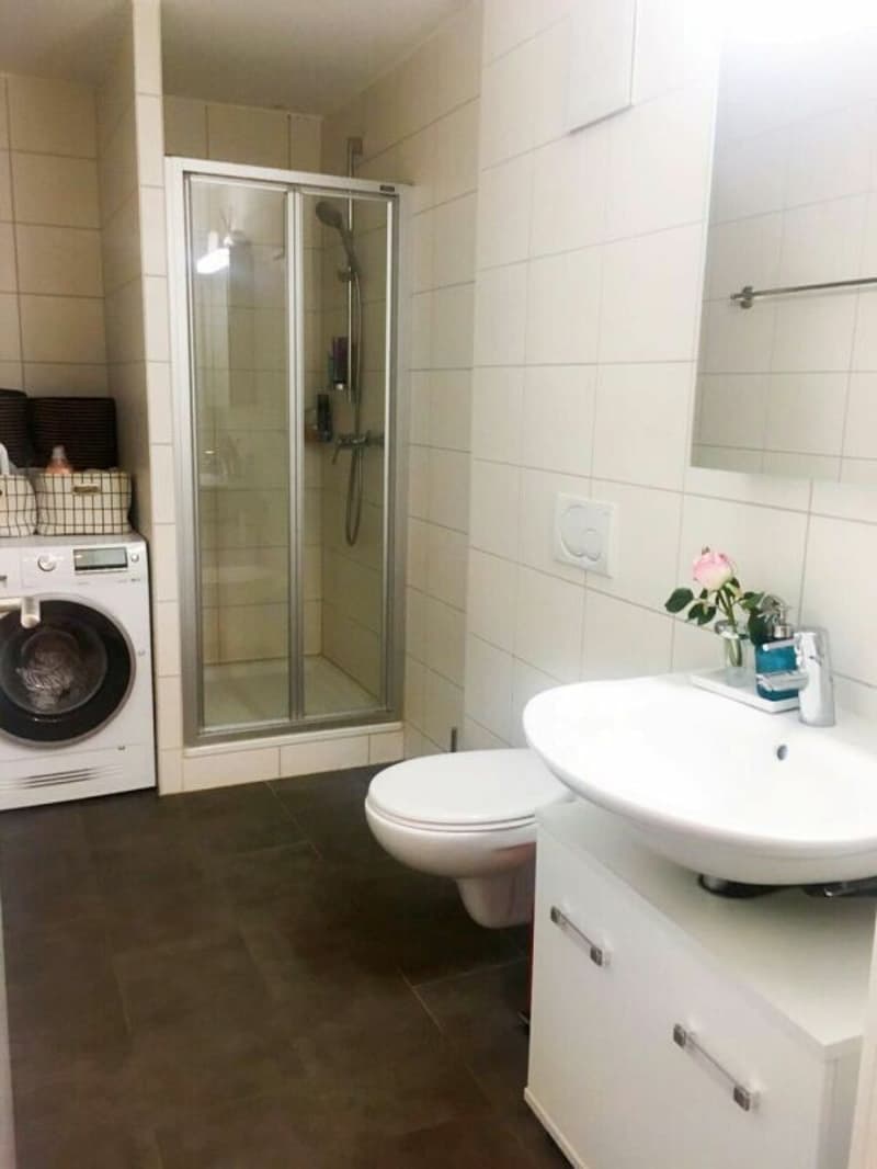 Salle de douche/WC/lavabo