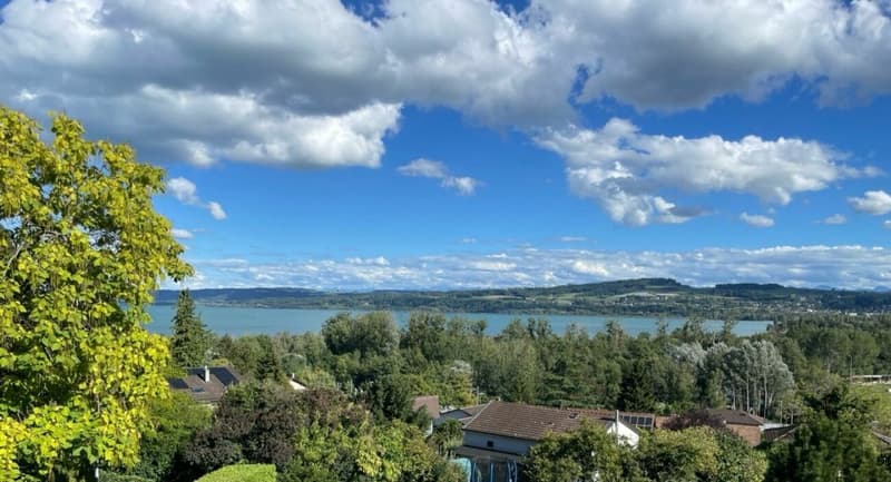 Bello appartamento con magnifica vista sul lago (5)