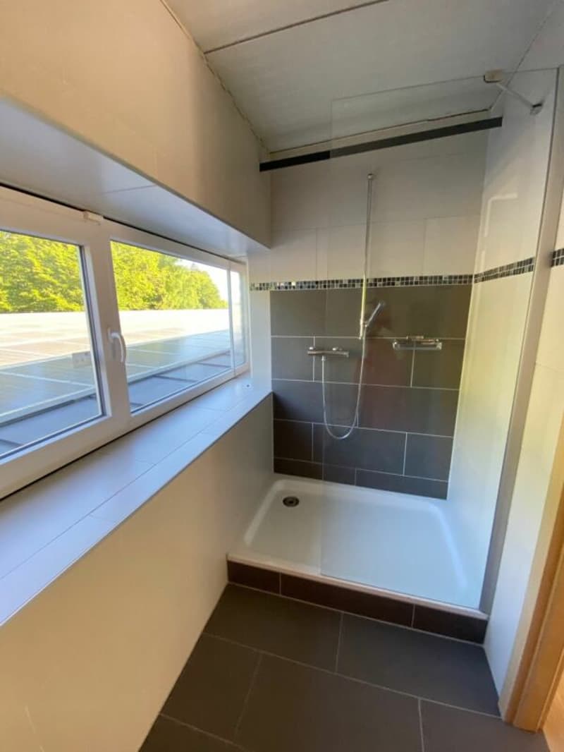 Artisanal 87 m2 au Mont-sur-Lausanne (15)
