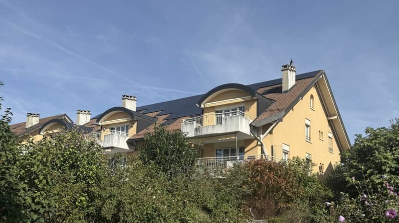 Appartement de 5,5 pièces avec très beau dégagement sur les alpes et le jura (11)