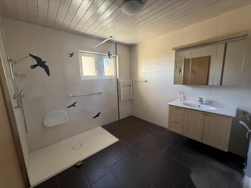 Appartement de 5,5 pièces avec très beau dégagement sur les alpes et le jura (8)