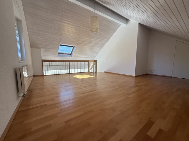 Appartement de 5,5 pièces avec très beau dégagement sur les alpes et le jura (6)