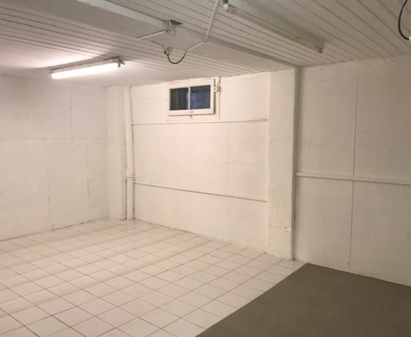 Crissier, local/dépôt de 60 m2 en sous-sol (1)