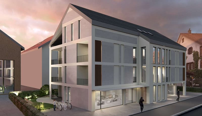 Gewerbe Neubauprojekt Living, Hinwil (1)
