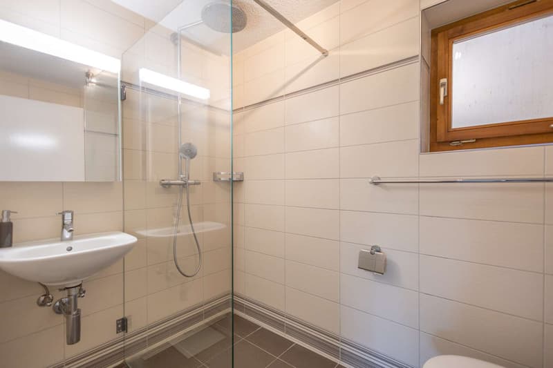 Praktische und moderne Dusche/WC im Untergeschoss