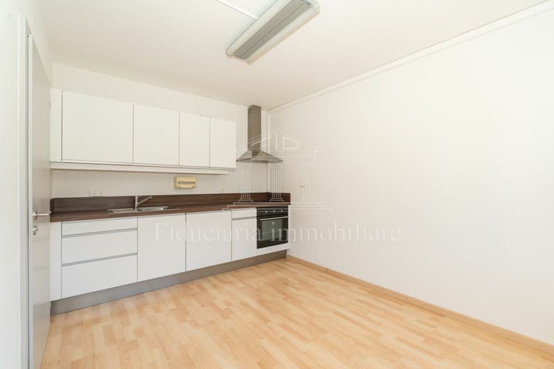 LOSONE - Espace commercial lumineux et polyvalent en position centrale (4)