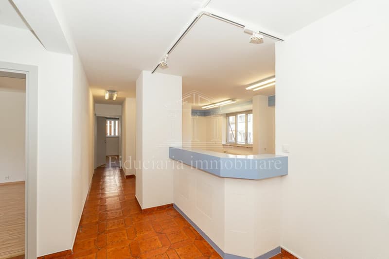 LOSONE - Espace commercial lumineux et polyvalent en position centrale (3)