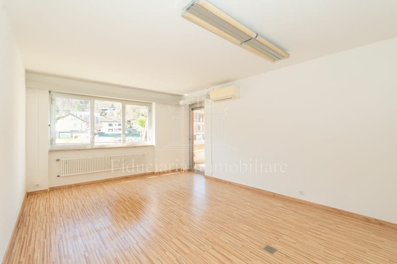 LOSONE - Espace commercial lumineux et polyvalent en position centrale (6)