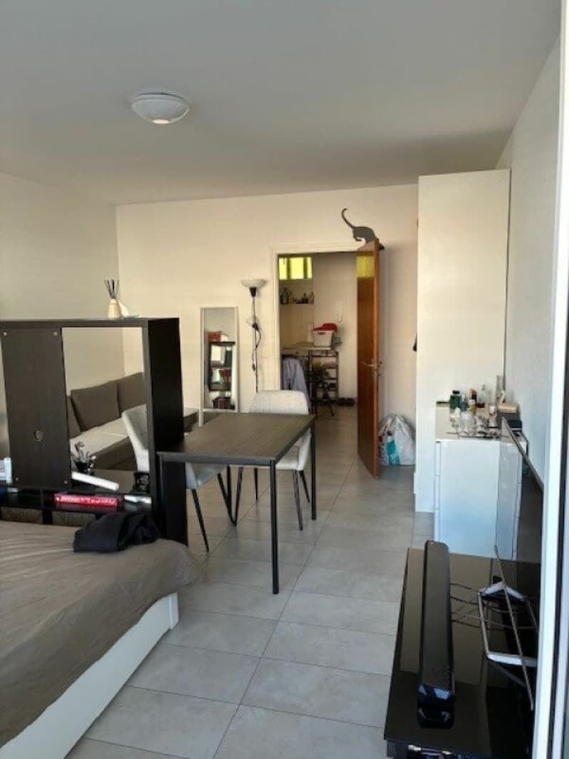 TENERO CENTRE - Appartement de 1,5 pièces à louer (7)